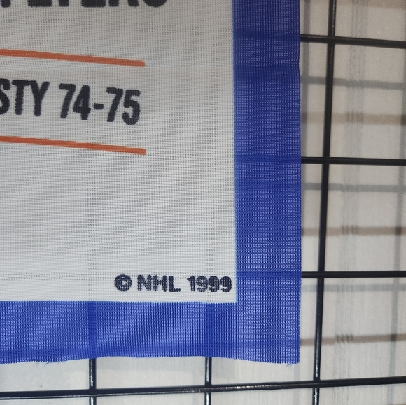 Philadelphia Flyers Banner 1999 Mint - Picture 2 of 4